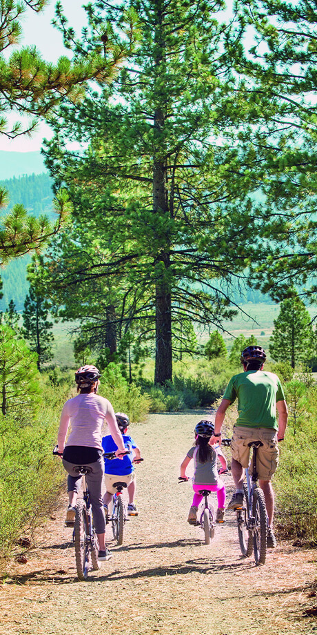Family of four bike riding on a trail among tall evergreen trees